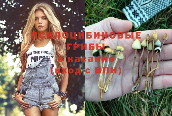 сатива Остров