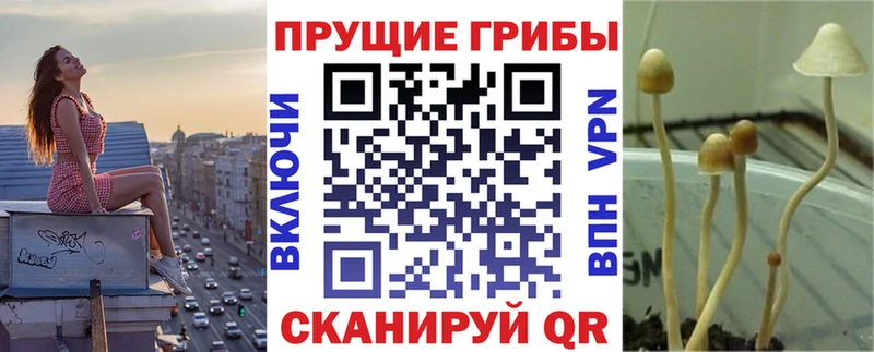 Псилоцибиновые грибы GOLDEN TEACHER  hydra tor  даркнет клад  Кизел 